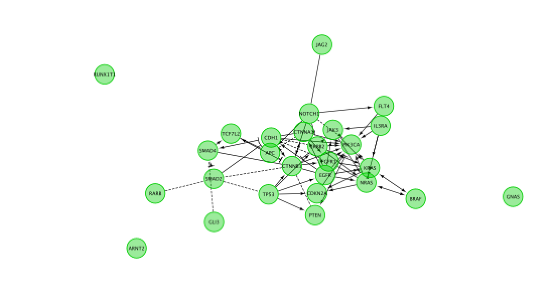 reactomeFI_viz_subnetwork2.png