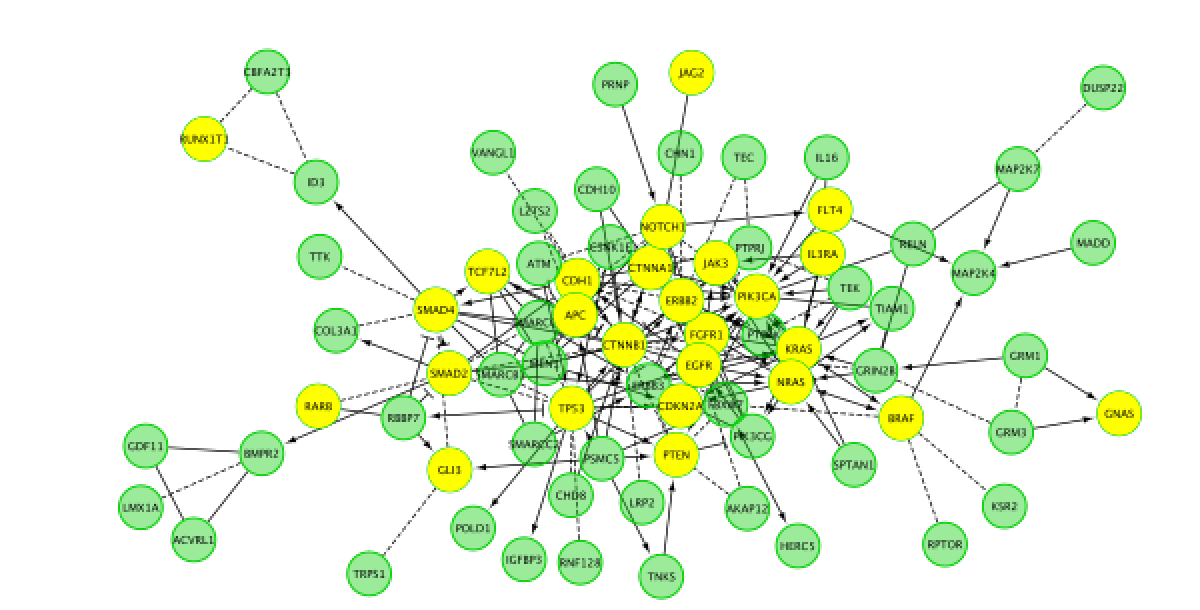 reactomeFI_viz_subnetwork1.png