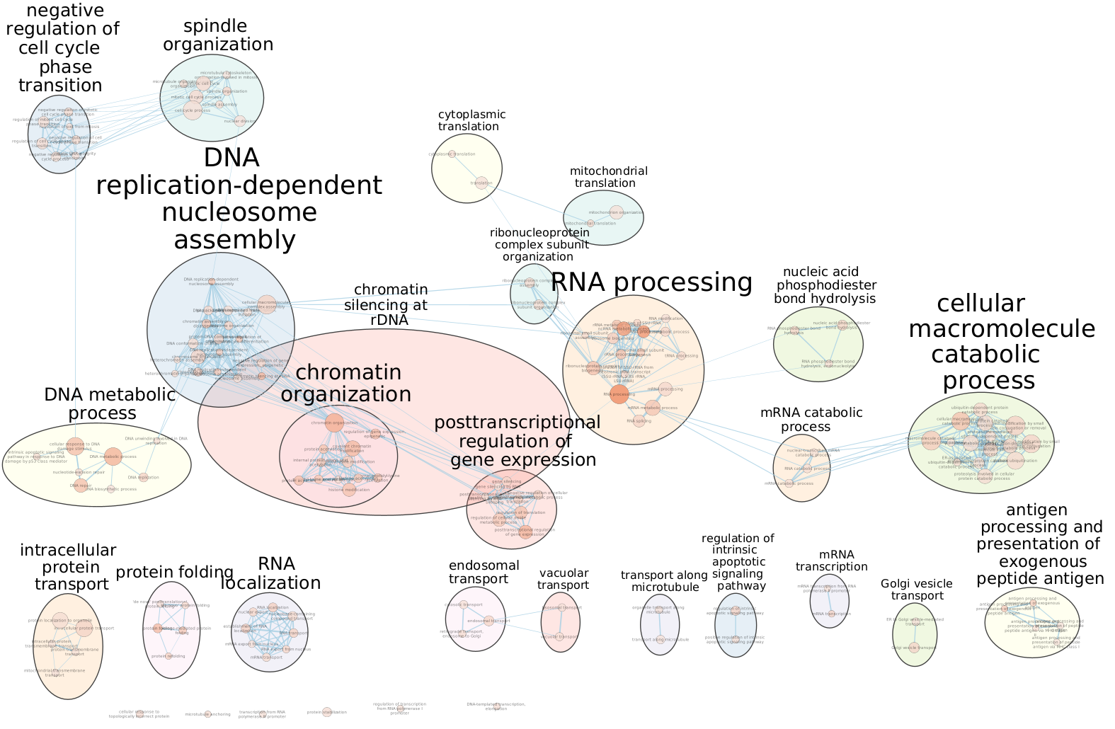 Figure 20 - Manually layed out Enrichment map of enriched pathways for distal set