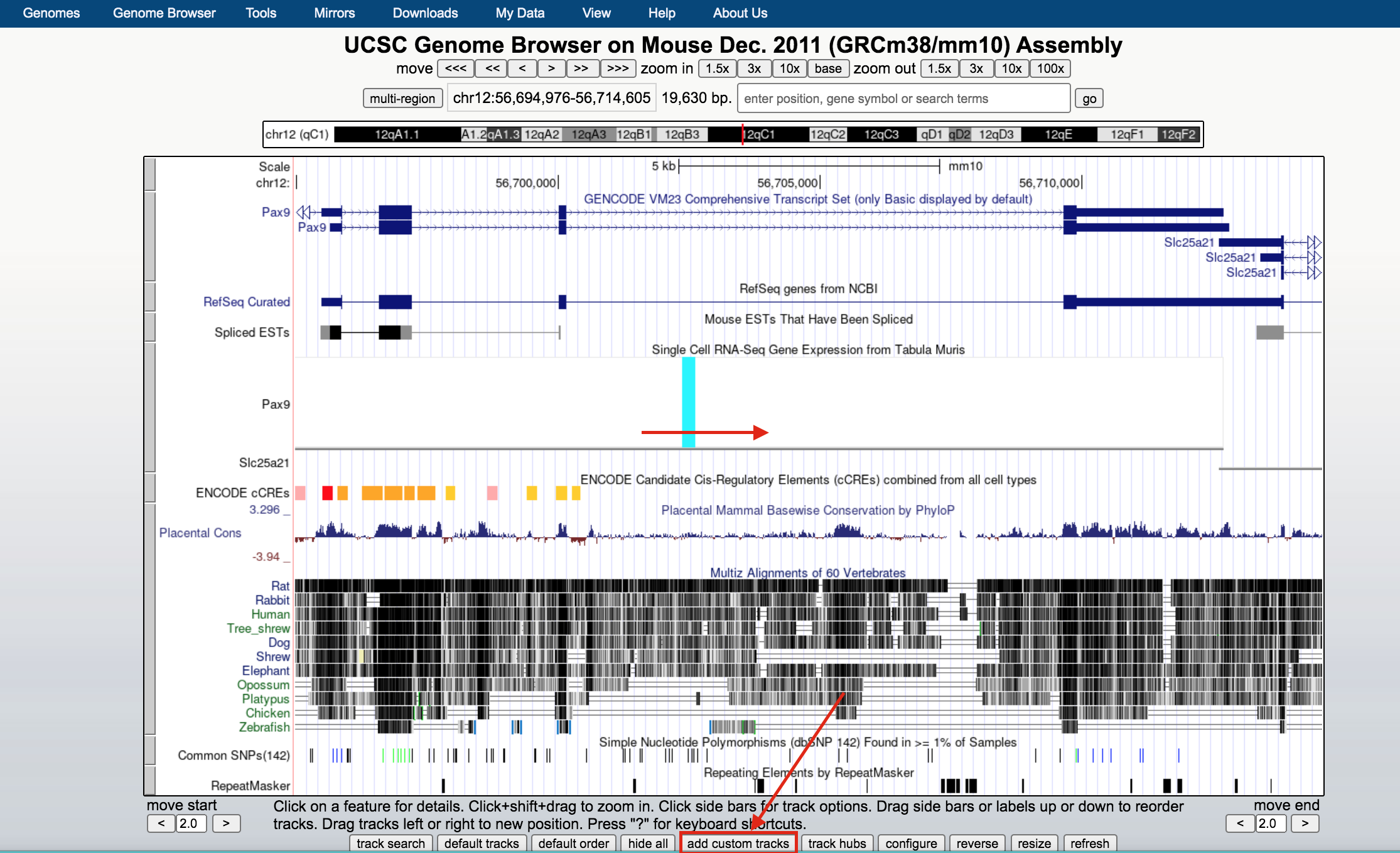 UCSC genome browser